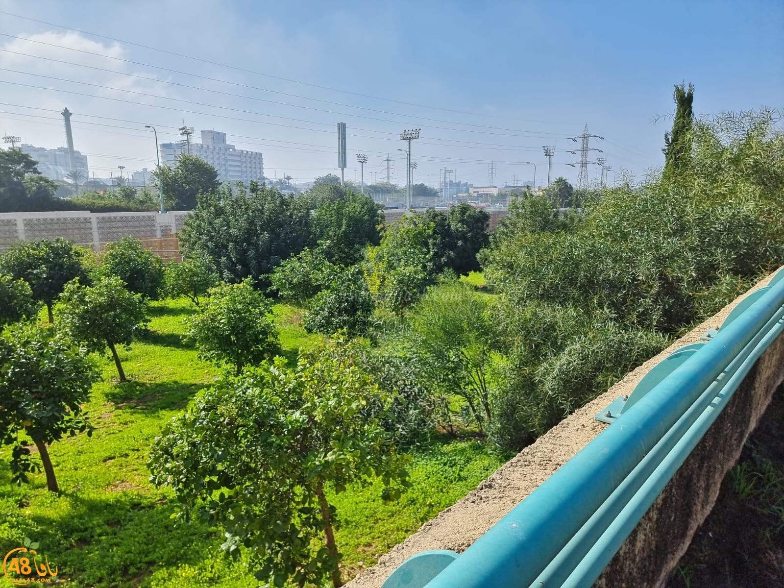 WhatsApp Image 2022-01-08 at 1.30.02 PM (1).jpg